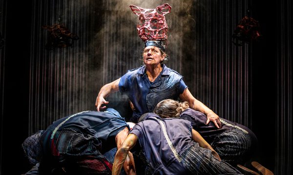 A person with a headpeice representing a pig kneeling on floor with a group of people hurdled around with their heads down